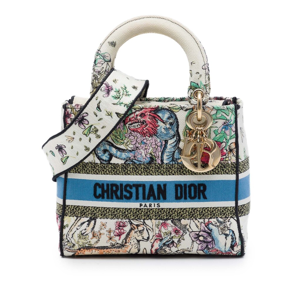 Pre-Loved Dior Medium Embroidered Canvas D Constellation Lady D Lite